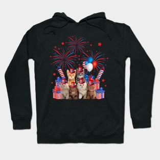 Independence Cat US American Flag Women Men 4th Of July Gift Hoodie